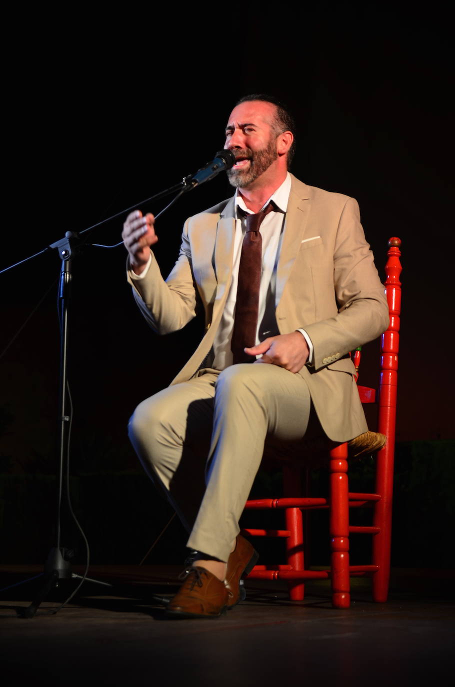 Fotos: Embrujo en el Festival Flamenco de Huétor Vega