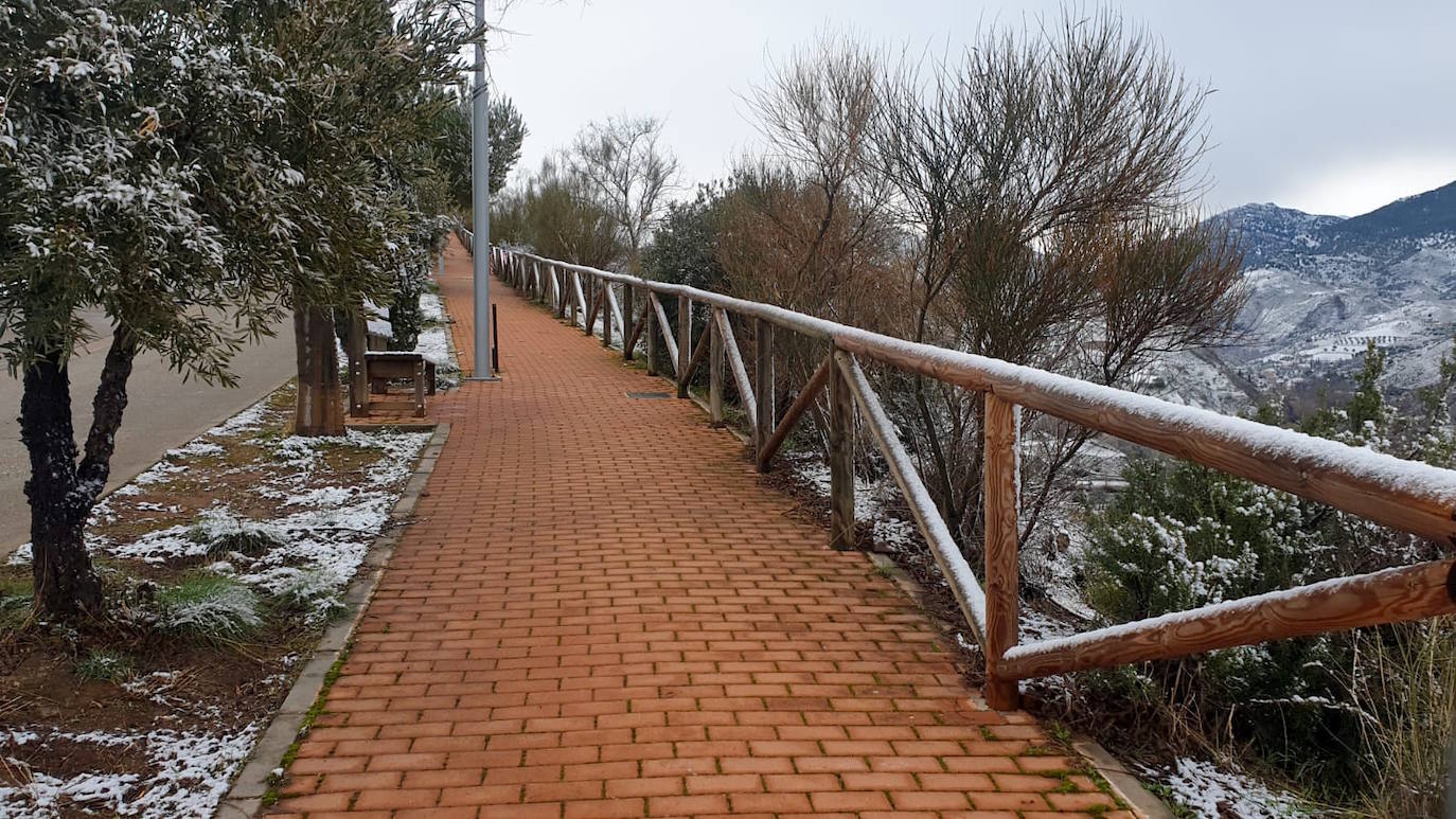 Huétor Vega amanece con un manto blanco.