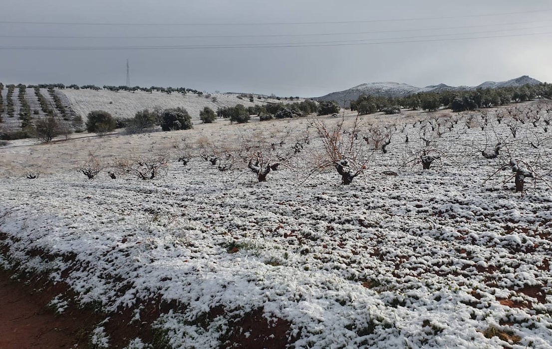 Huétor Vega amanece con un manto blanco.