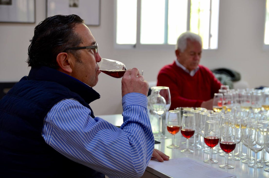 XXVIII Concurso de los Vinos Mostos de Huétor Vega.