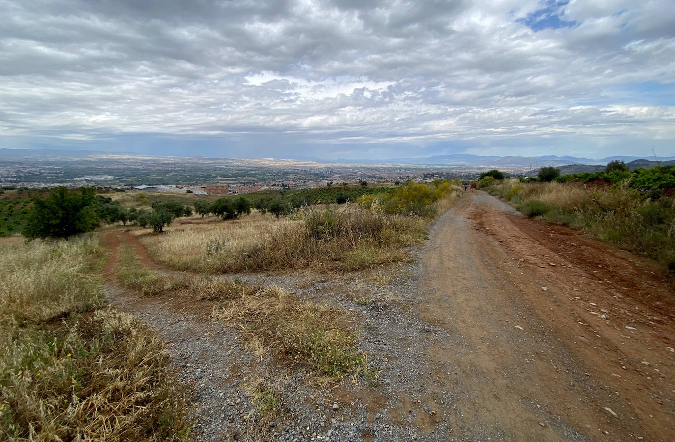 Huétor Vega se vuelca un año más en la siembra de árboles con Operación Encina.
