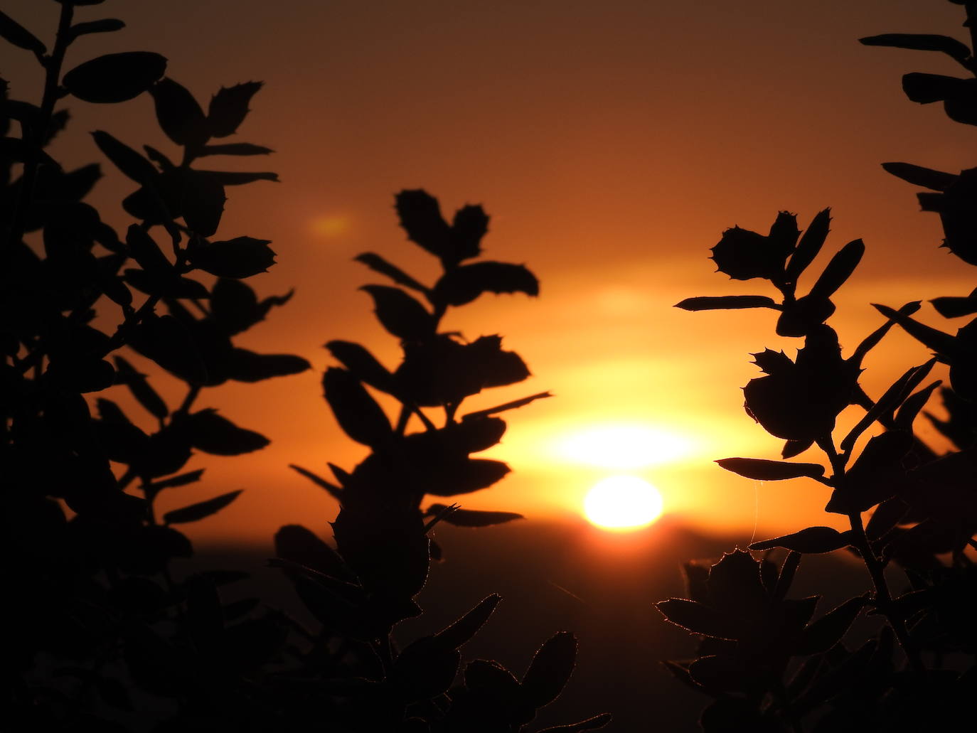 Fotos: Huétor Vega, comprometido con su Fiesta del Riego