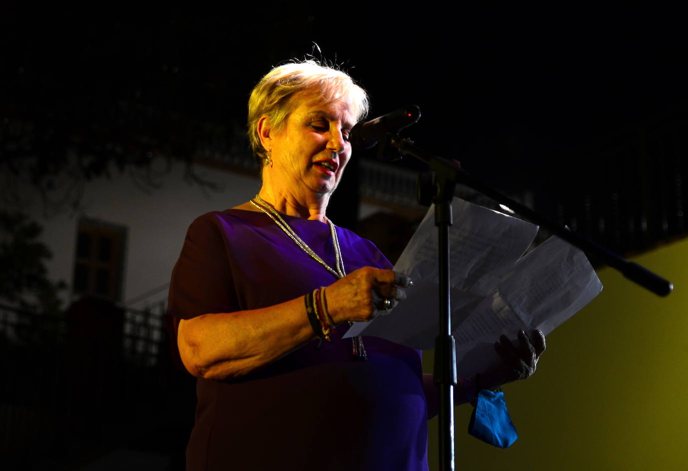 Fotos: Así fue el Festival Flamenco de Huétor Vega de 2021