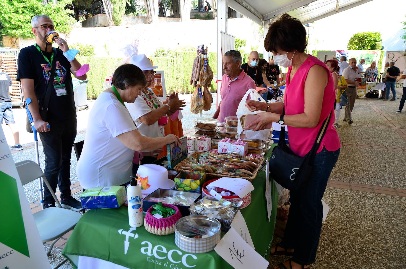 Fotos: Fiesta de la Vendimia en Huétor Vega