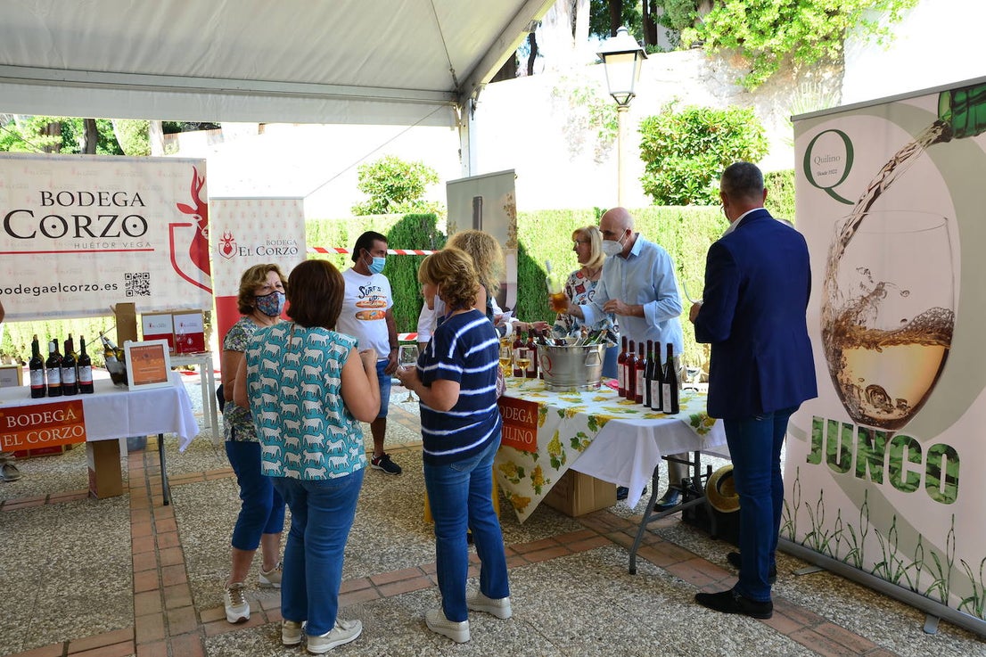 Fotos: Fiesta de la Vendimia en Huétor Vega
