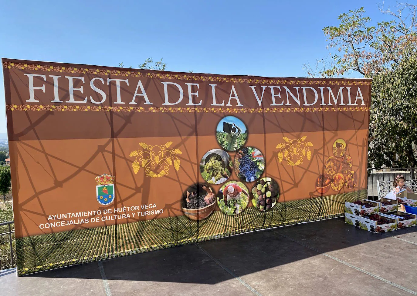 Fotos: Fiesta de la Vendimia en Huétor Vega