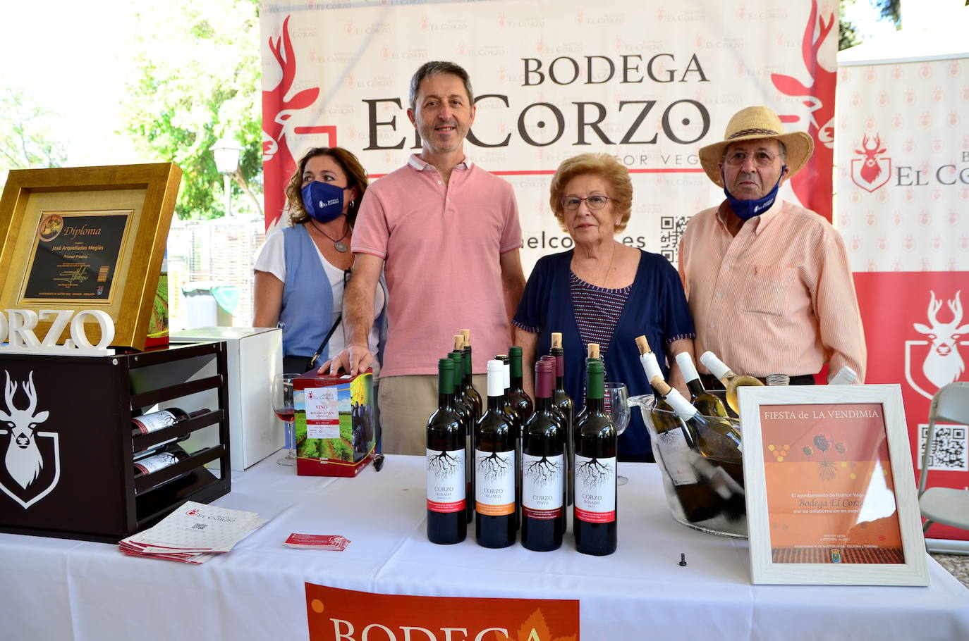 Fotos: Fiesta de la Vendimia en Huétor Vega