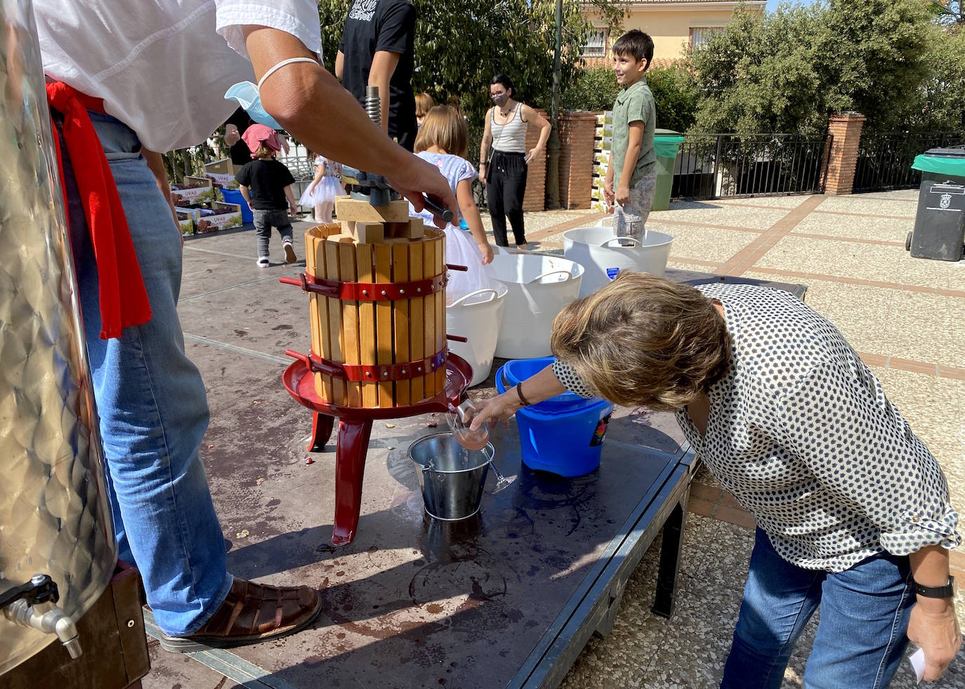 Fotos: Fiesta de la Vendimia en Huétor Vega