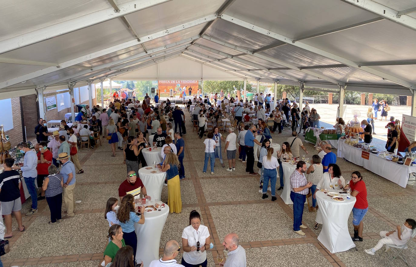 Fotos: Fiesta de la Vendimia en Huétor Vega