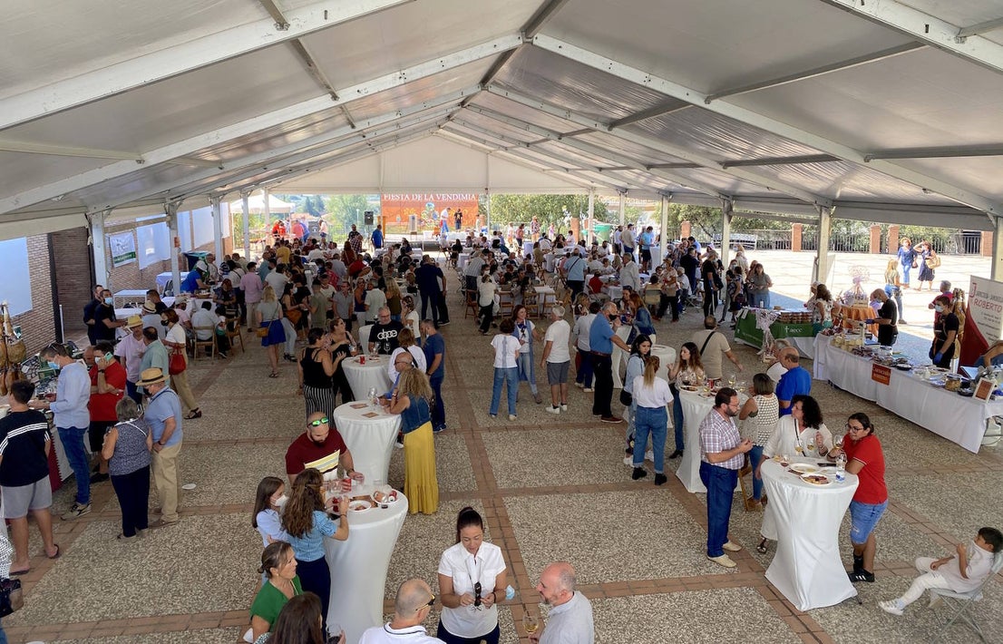 Fotos: Fiesta de la Vendimia en Huétor Vega