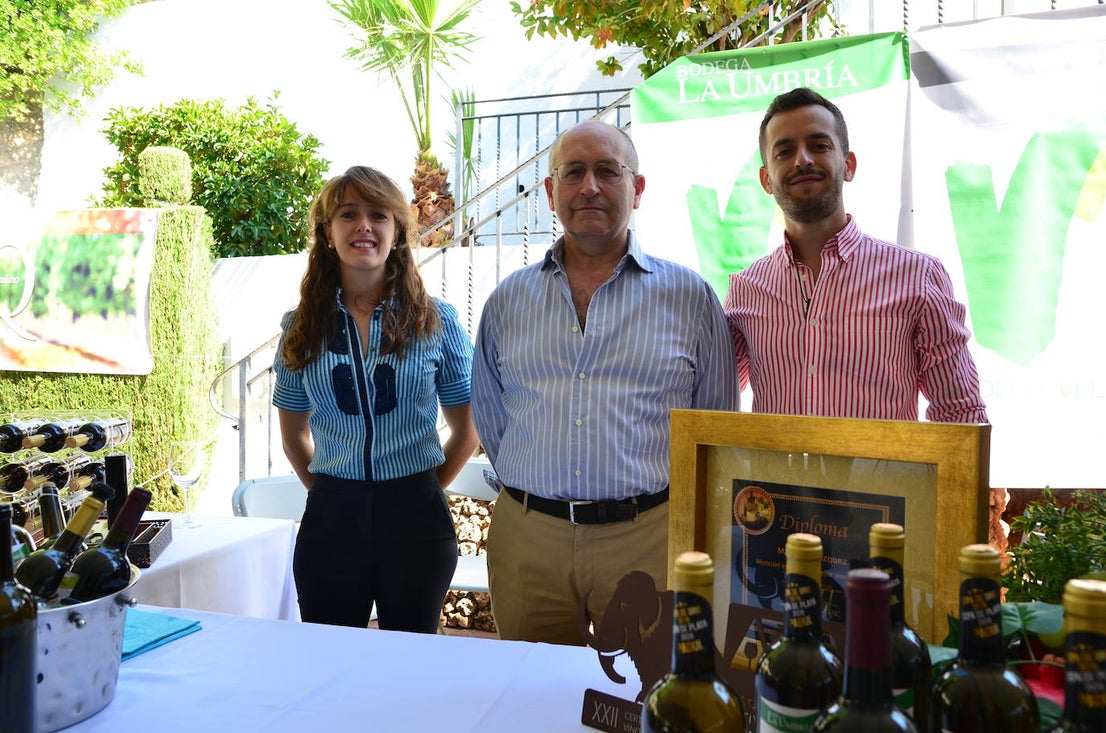 Fotos: Fiesta de la Vendimia en Huétor Vega