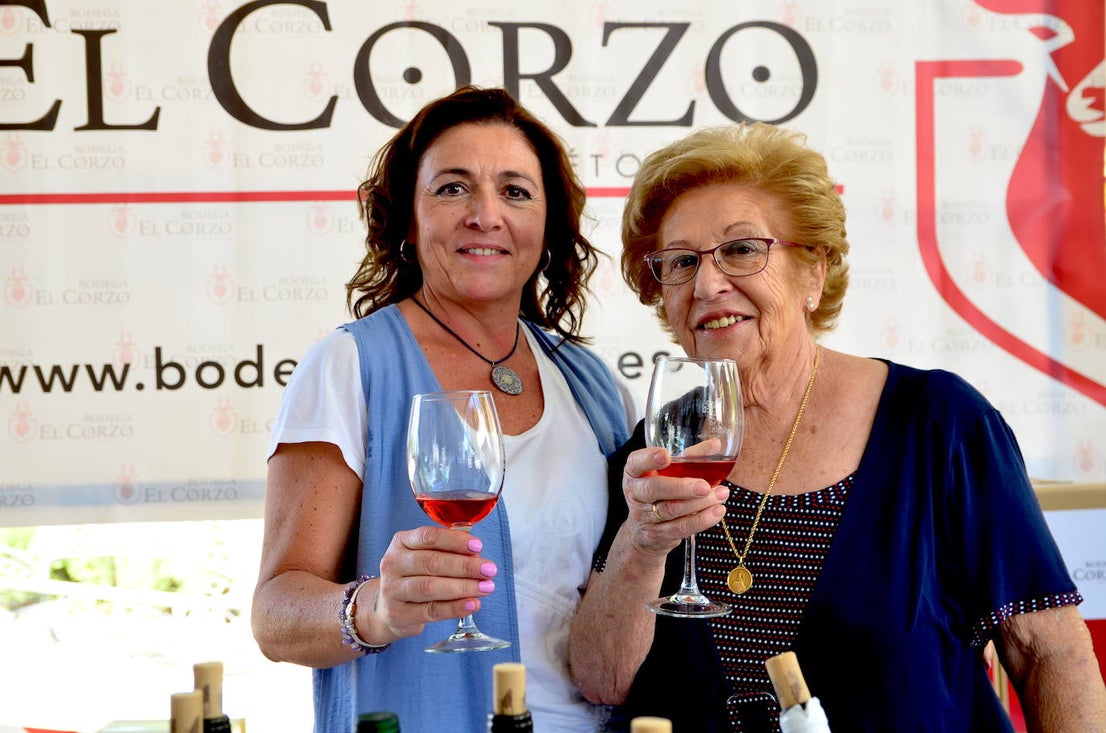 Fotos: Fiesta de la Vendimia en Huétor Vega