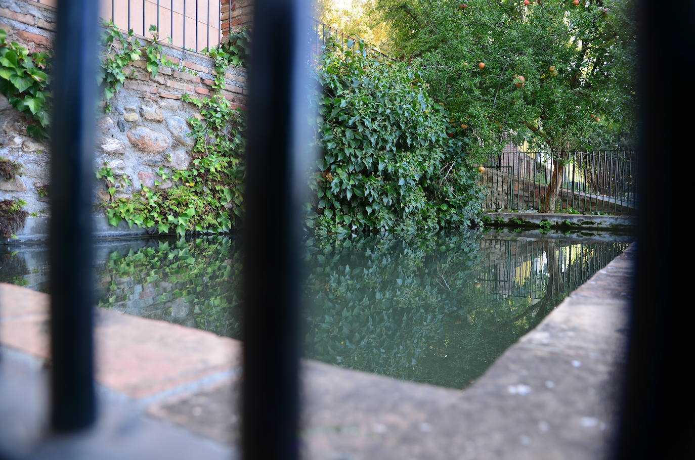 Acequia del Albaricoque.