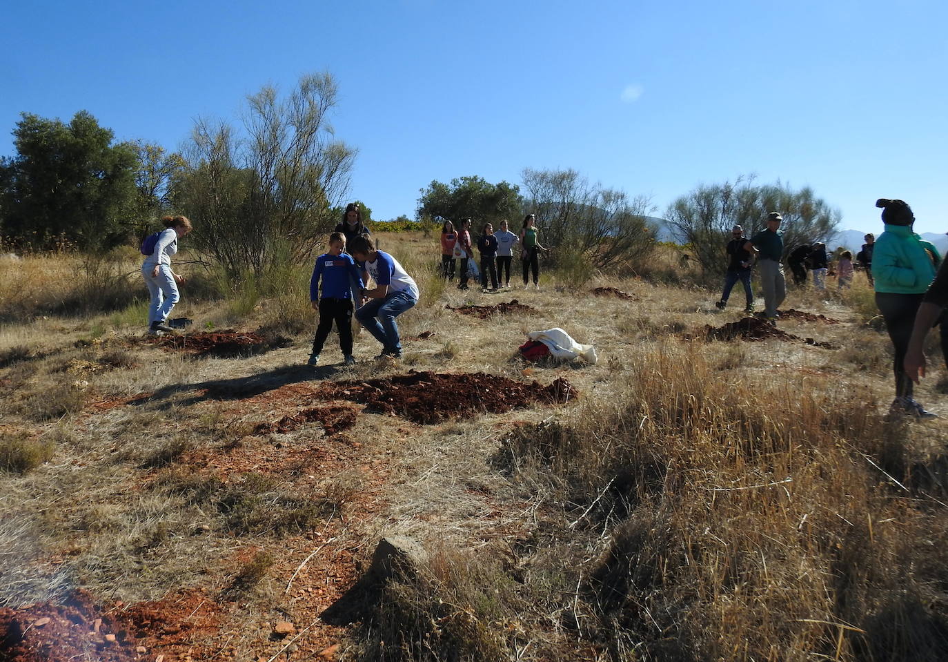 Fotos: Jornada de reforestación 'bilingüe' en Huétor Vega