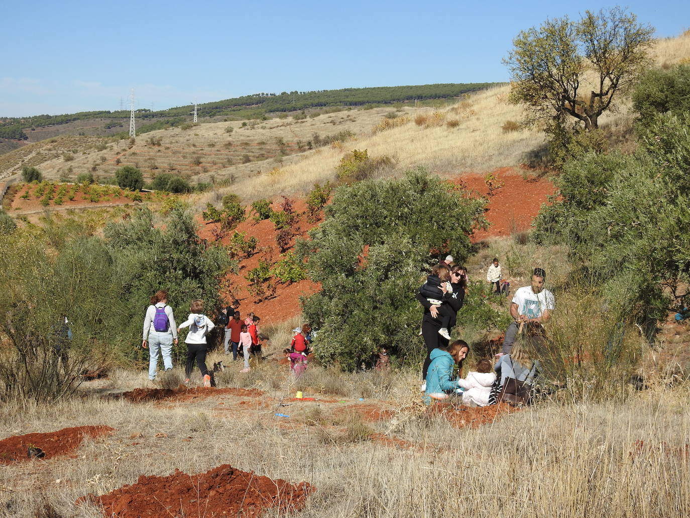 Fotos: Jornada de reforestación &#039;bilingüe&#039; en Huétor Vega