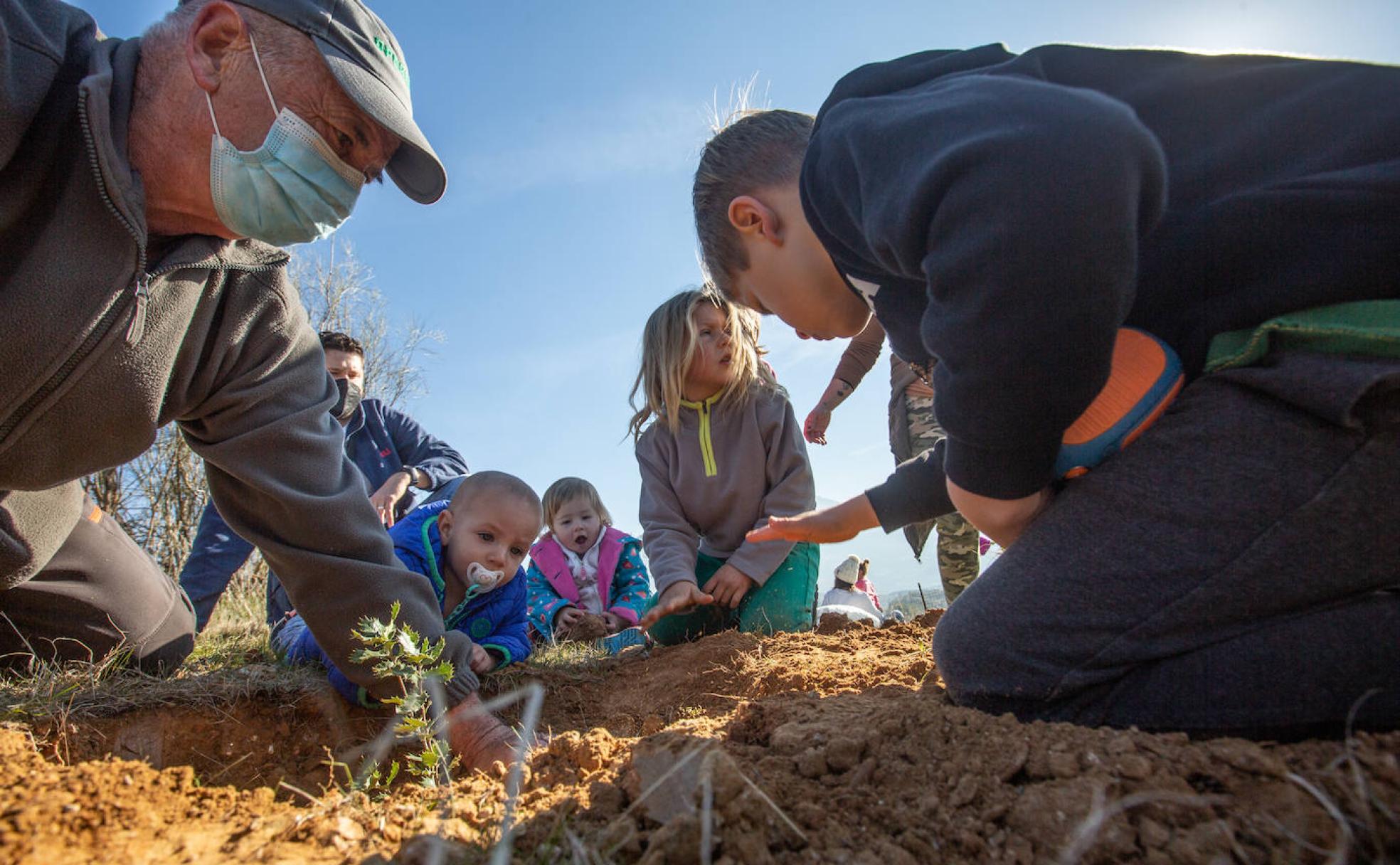 Los niños y niñas participan de forma activa en la plantación de los árboles.