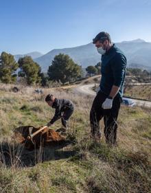 Imagen secundaria 2 - Huétor Vega: «Por cada árbol arrancado plantaremos otros diez más»
