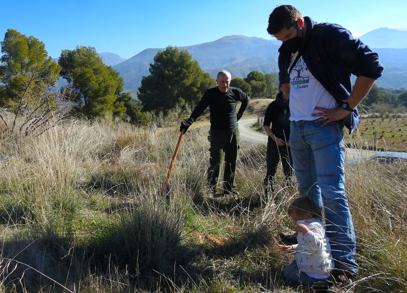 Fotos: Un centenar de personas reforestan el Camino de los Neveros
