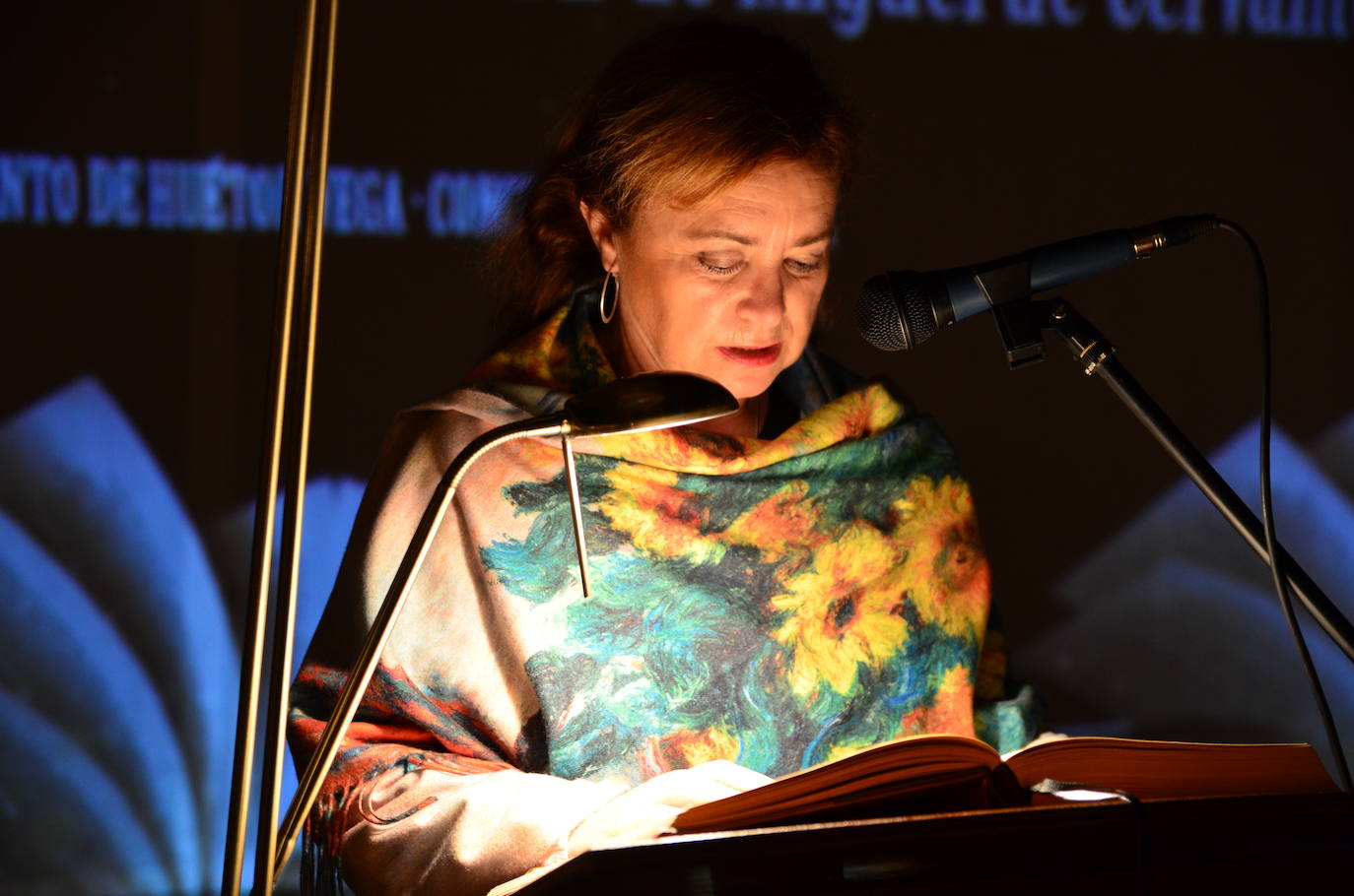 Fotos: Lectura colectiva de ‘El Quijote’ en Huétor Vega