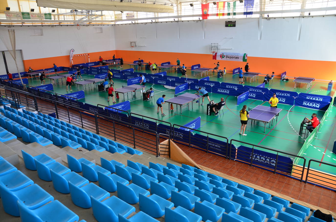 Ya hay fecha para Torneo San Roque Tenis de Mesa de Huétor Vega