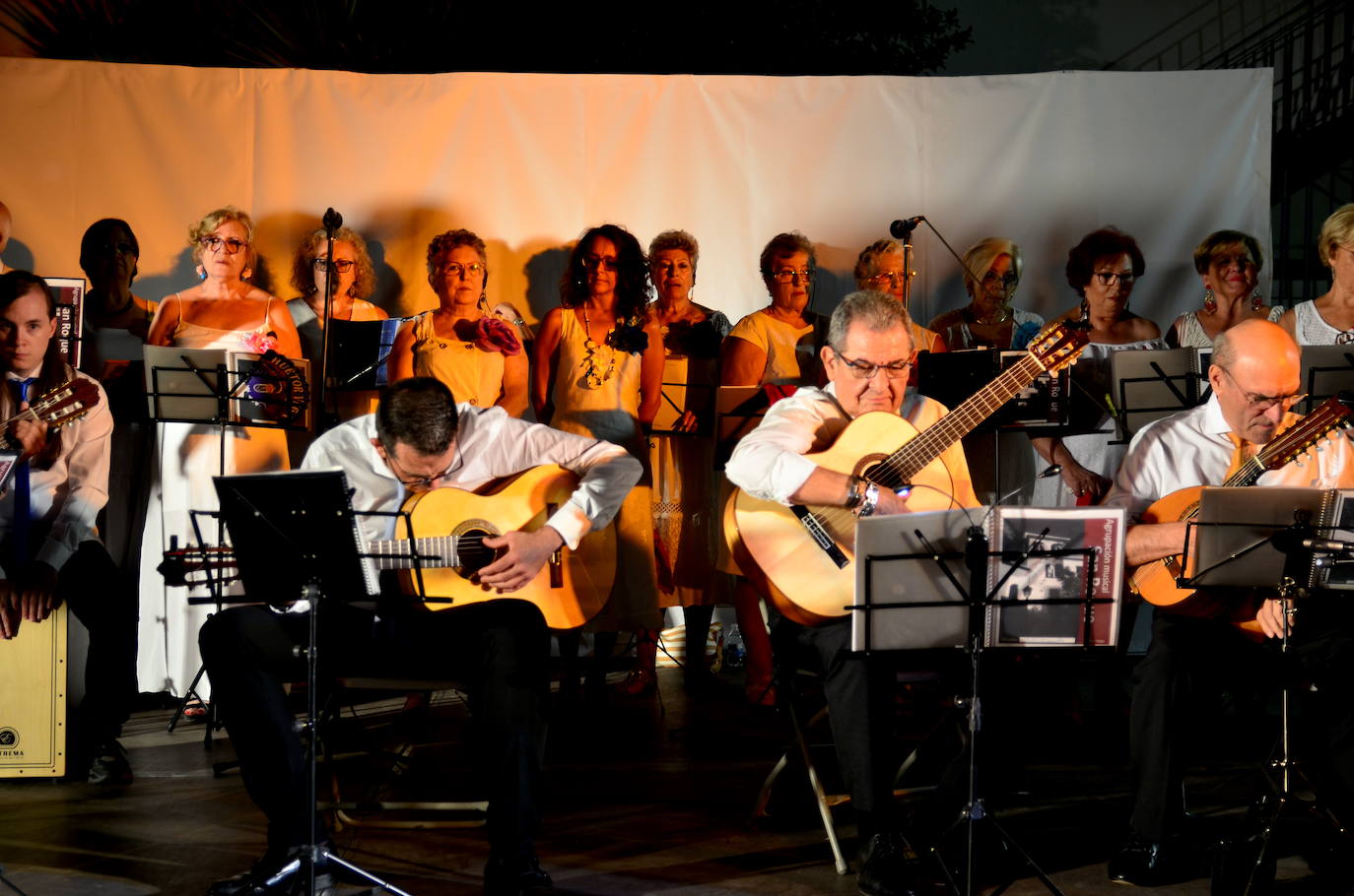 Actuación de la Agrupación de Pulso y Púa San Roque.