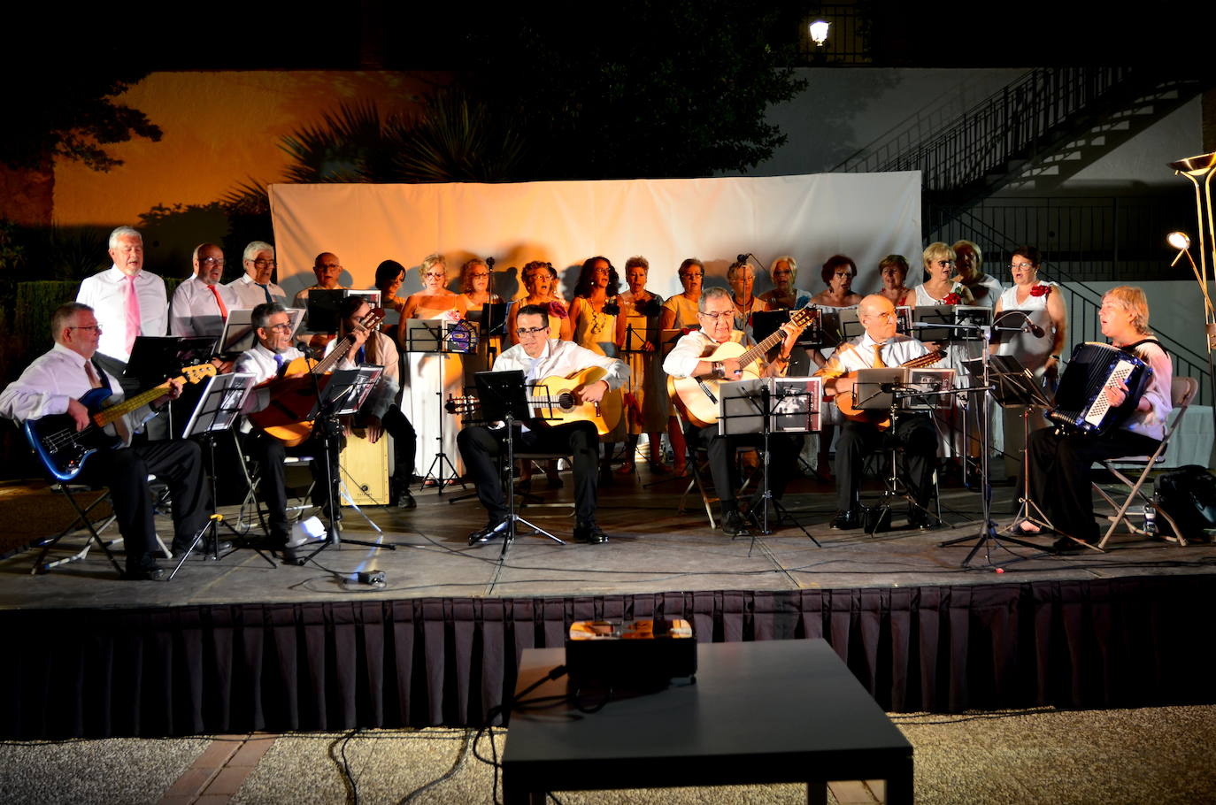 Actuación de la Agrupación de Pulso y Púa San Roque.