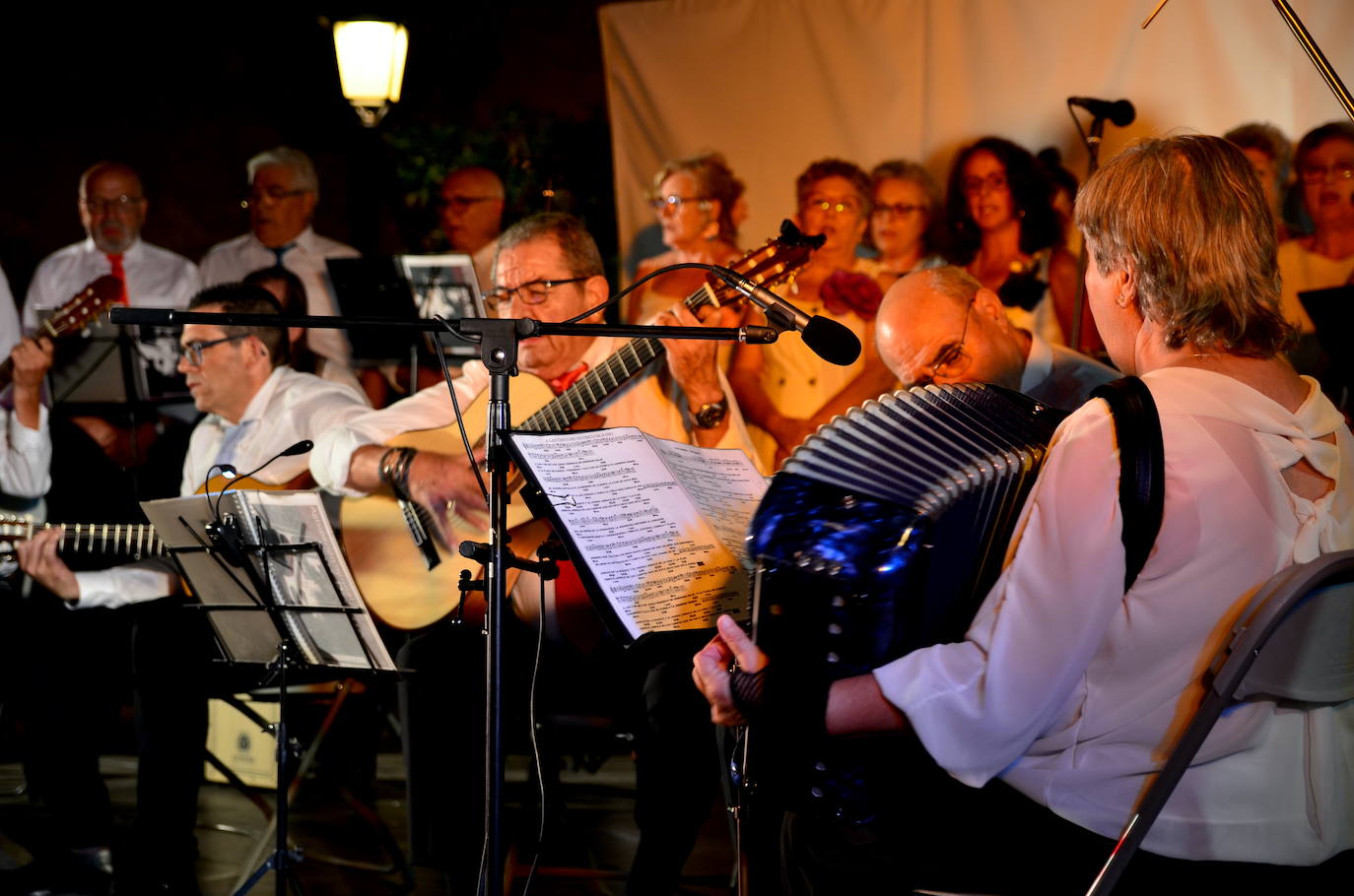 Actuación de la Agrupación de Pulso y Púa San Roque.