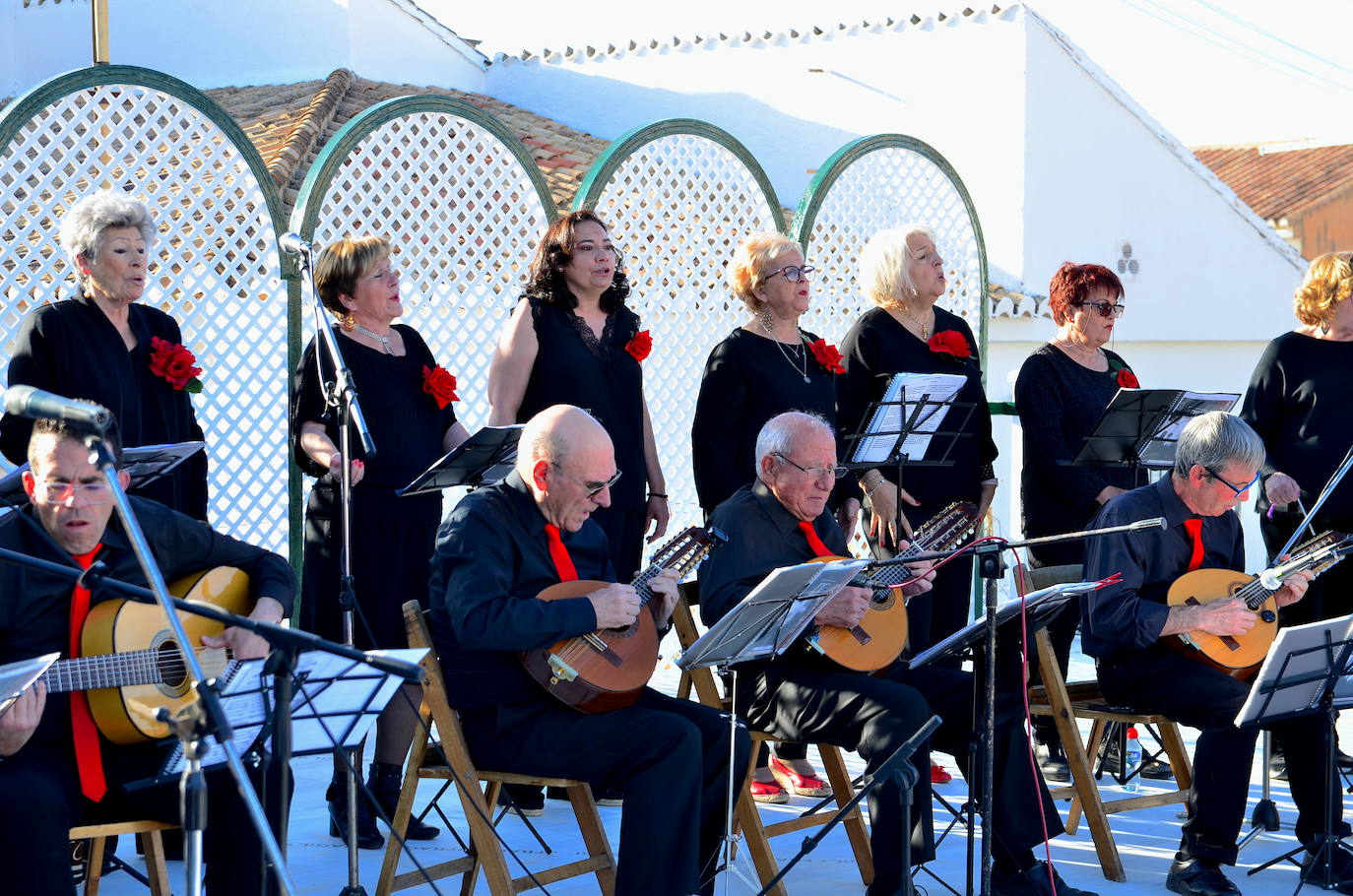 La placeta de Paquita 'La de la luz' en Huétor Vega