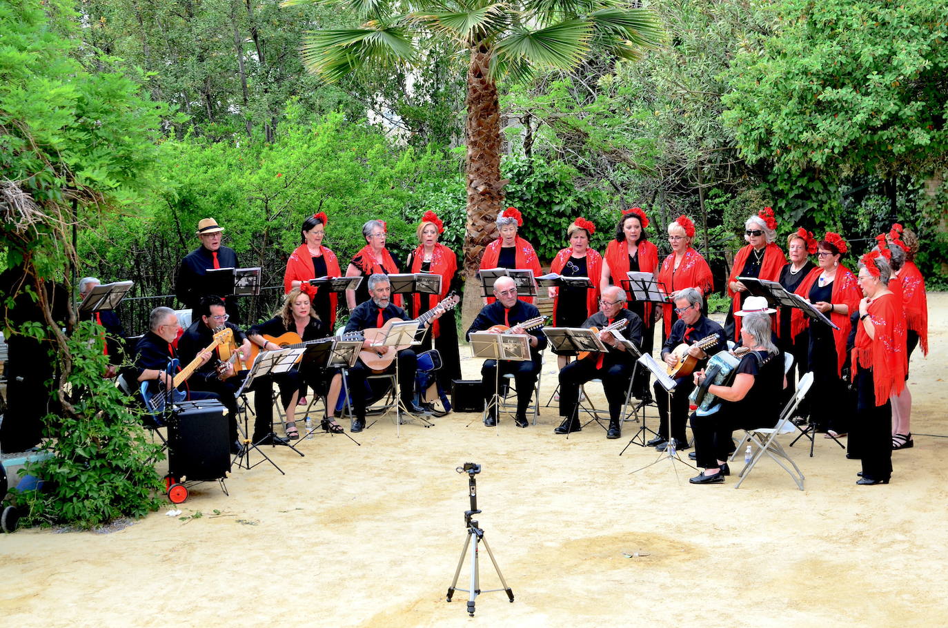Recital de la Rondalla San Roque.