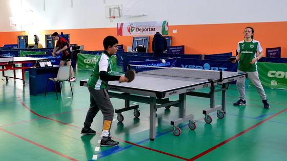 Concentración de Tenis de Mesa: espectáculo en el pabellón de Huétor Vega