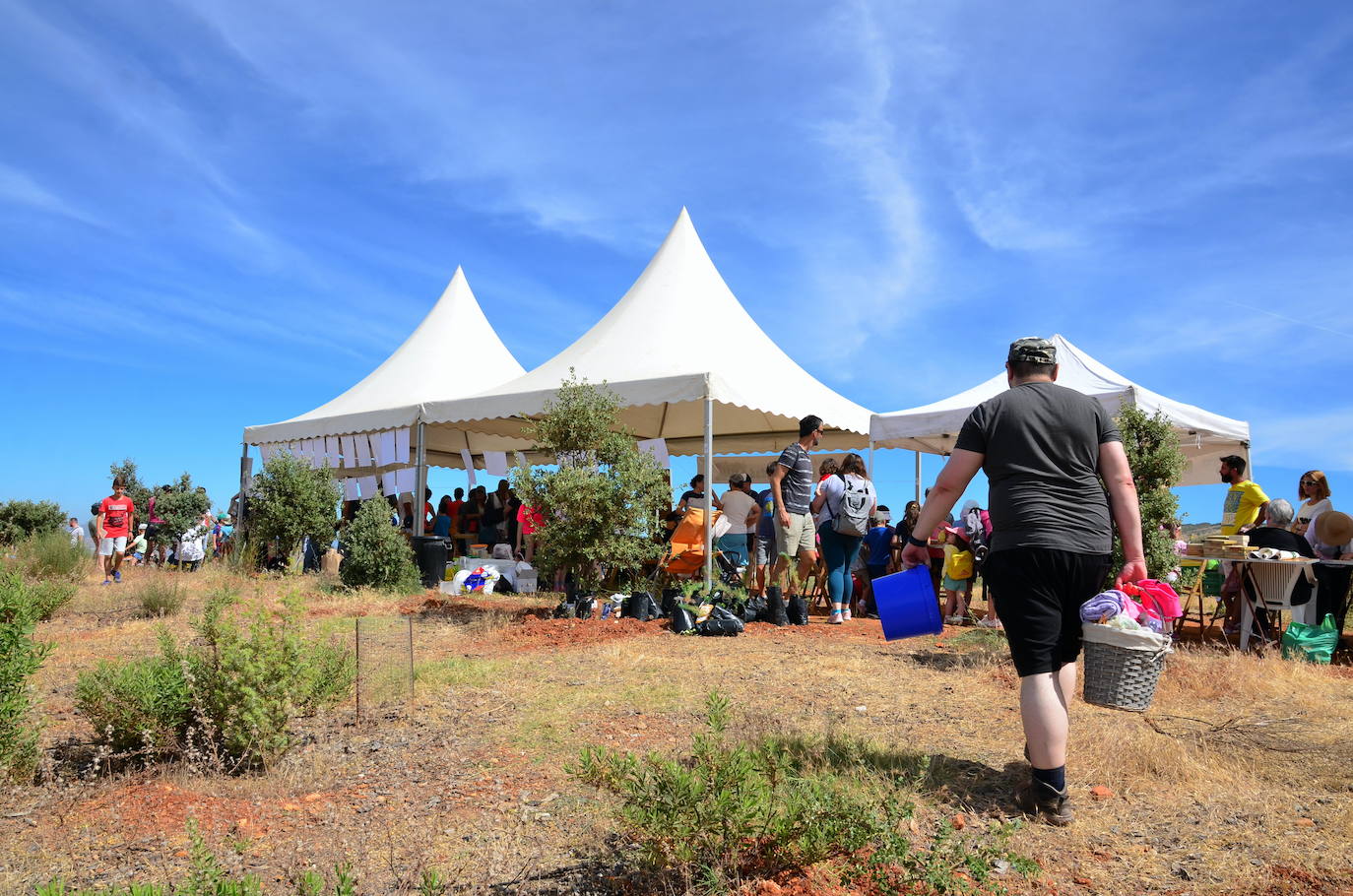 Fiesta del Día Mundial del Medio Ambiente en Huétor Vega, en 2022.