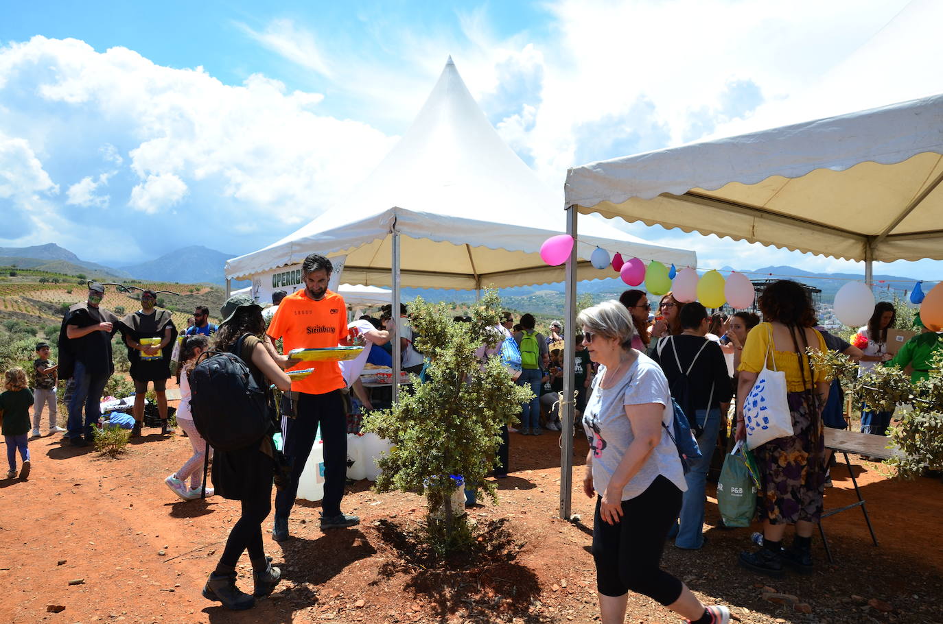 Fiesta del Día Mundial del Medio Ambiente en Huétor Vega