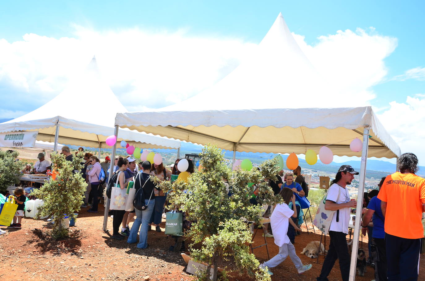 Fiesta del Día Mundial del Medio Ambiente en Huétor Vega