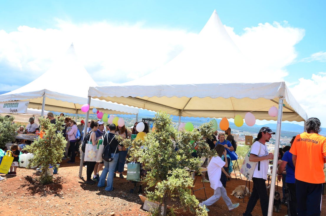 Fiesta del Día Mundial del Medio Ambiente en Huétor Vega