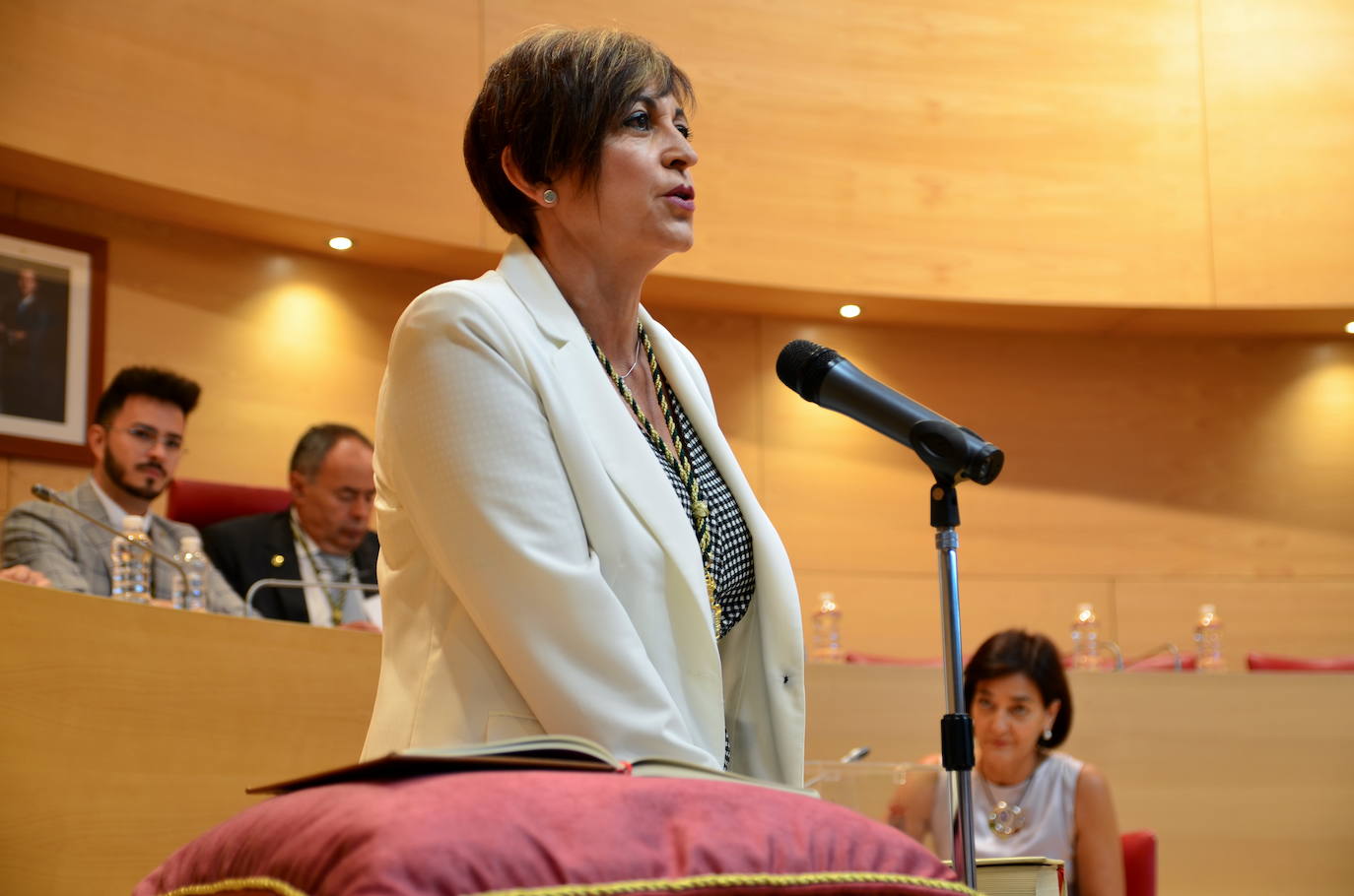 El pleno de investidura de Huétor Vega, desde dentro