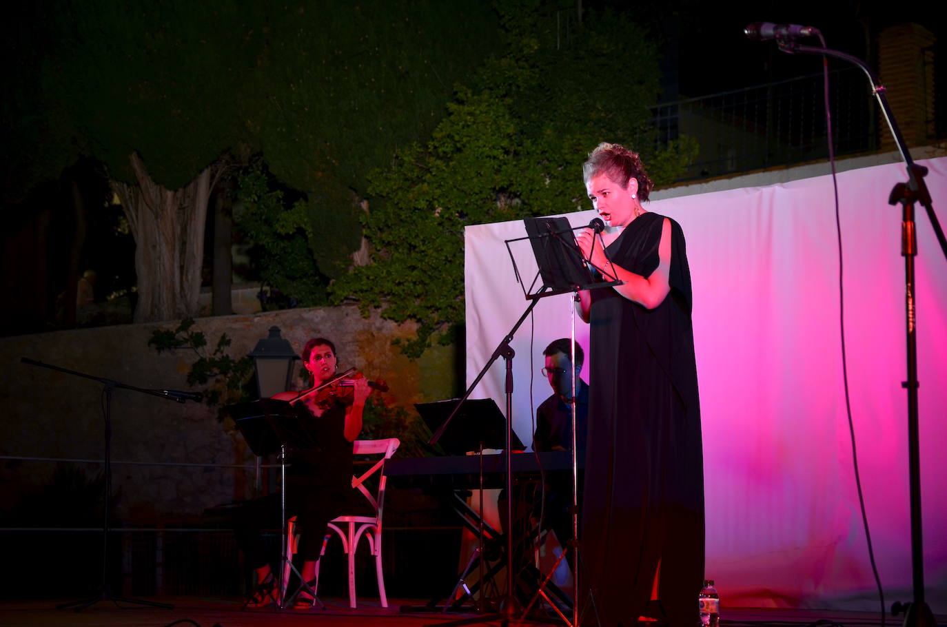 El pregón de Pilar Pérez Velázquez inaugura las fiestas de Huétor Vega