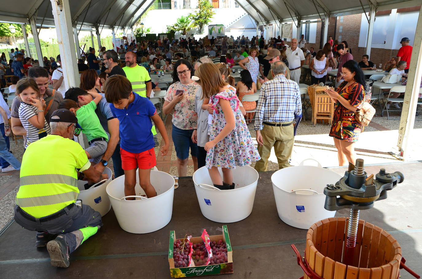 Fiesta de la Vendimia, un evento delicioso en Huétor Vega
