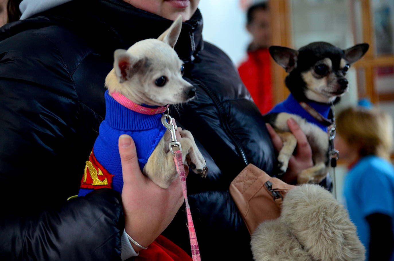 La magia del carnaval vuelve a Huétor Vega