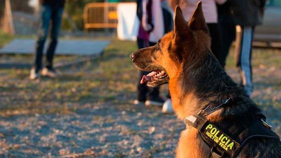 El PP critica la eliminación de la Unidad Canina en Huétor Vega