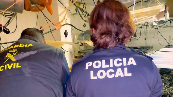 Incautadas 2.242 plantas de marihuana en un chalet en Huétor Vega