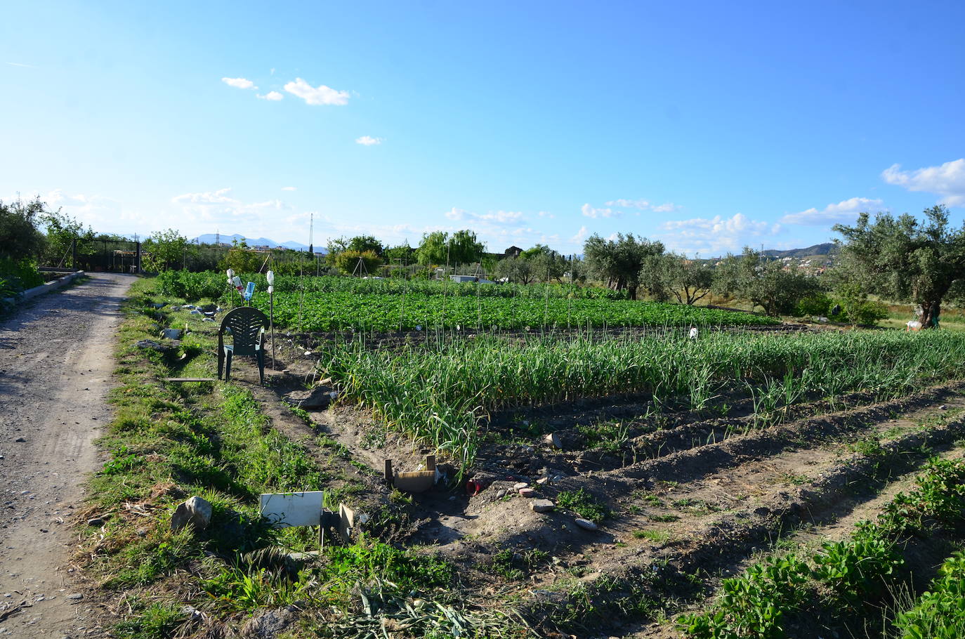 Un paseo por lo que queda de vega de Huétor