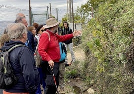 Enseñanzas de Francisco Valle, catedrático de Botánica.