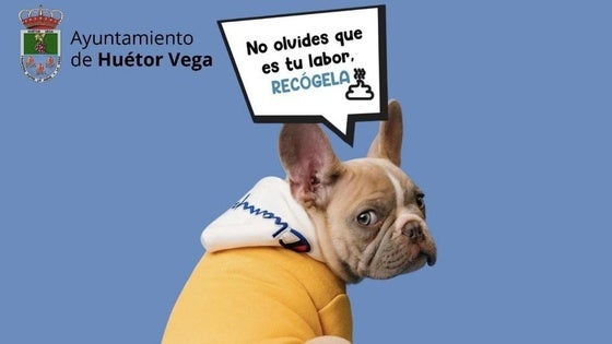 Multas de 75 a 2.400 euros: Huétor Vega avisa a los dueños de las mascotas