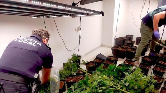 Desmantelada una plantación de marihuana en el interior de una vivienda de Huétor Vega