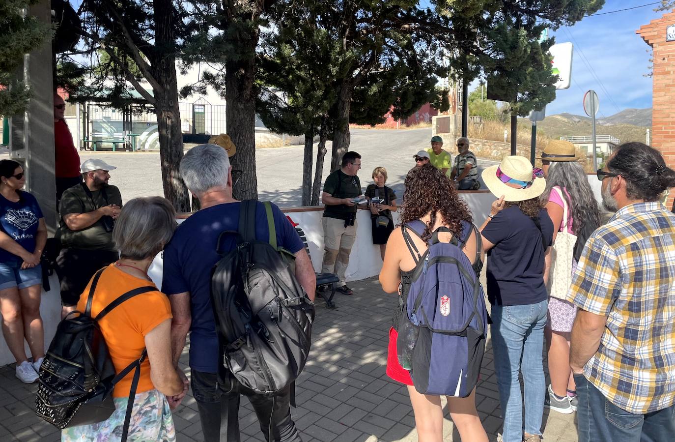 Paseo ornitológico por parajes de Huétor Vega.