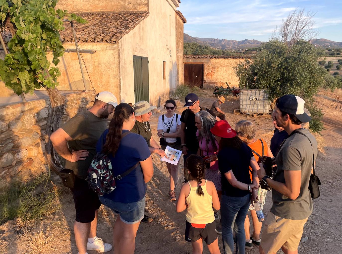 Paseo ornitológico por parajes de Huétor Vega.