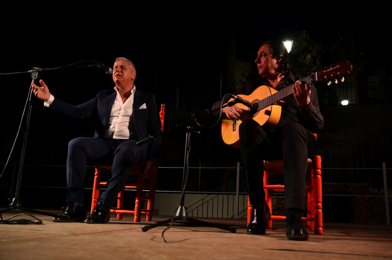 El flamenco brilla en su noche más especial en Huétor Vega
