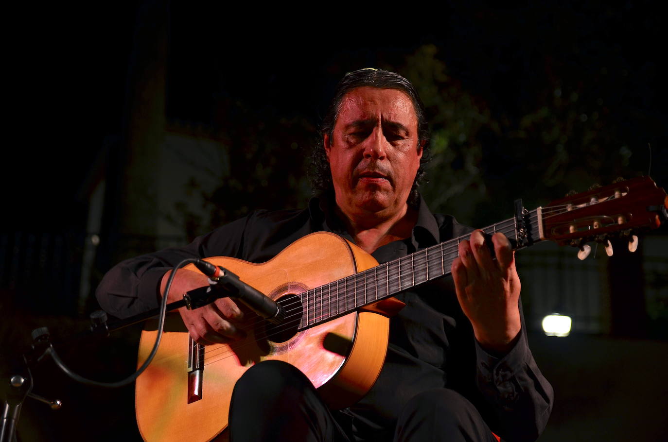 El flamenco brilla en su noche más especial en Huétor Vega