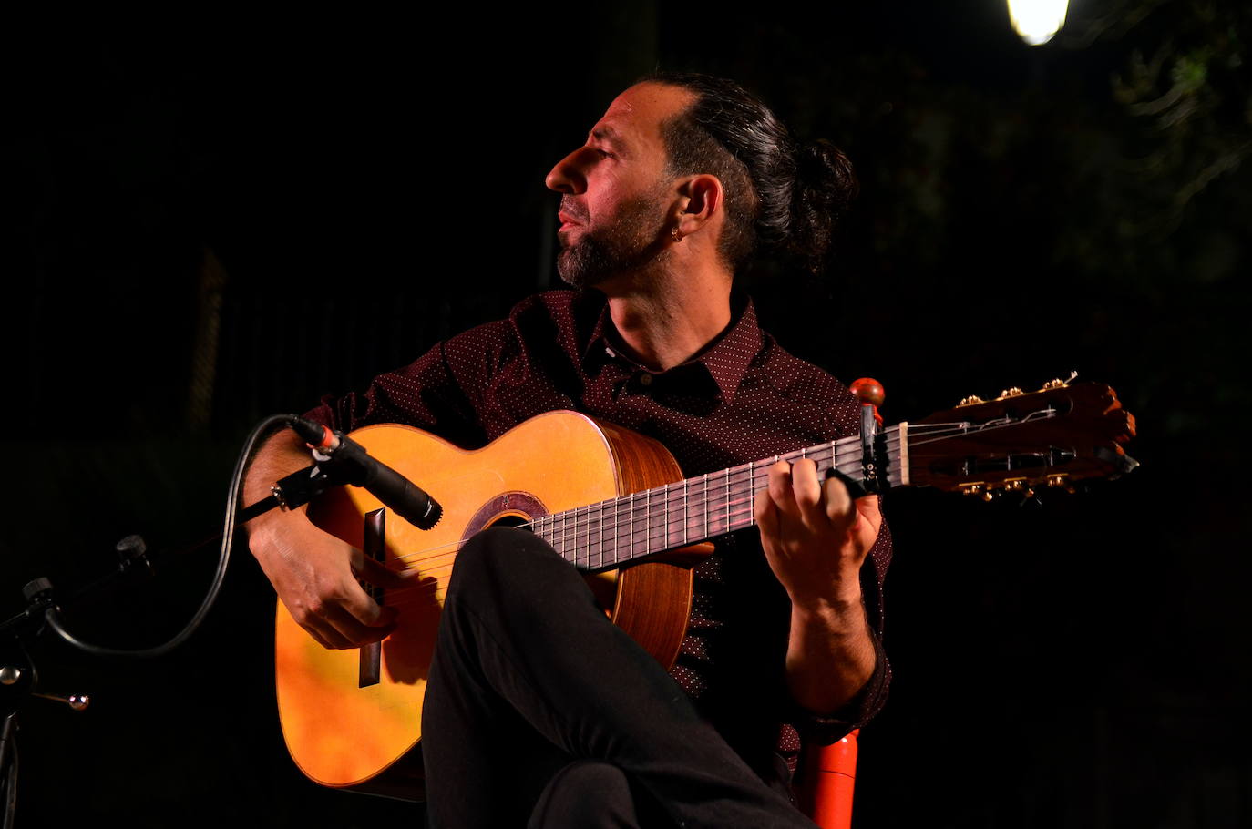 El flamenco brilla en su noche más especial en Huétor Vega