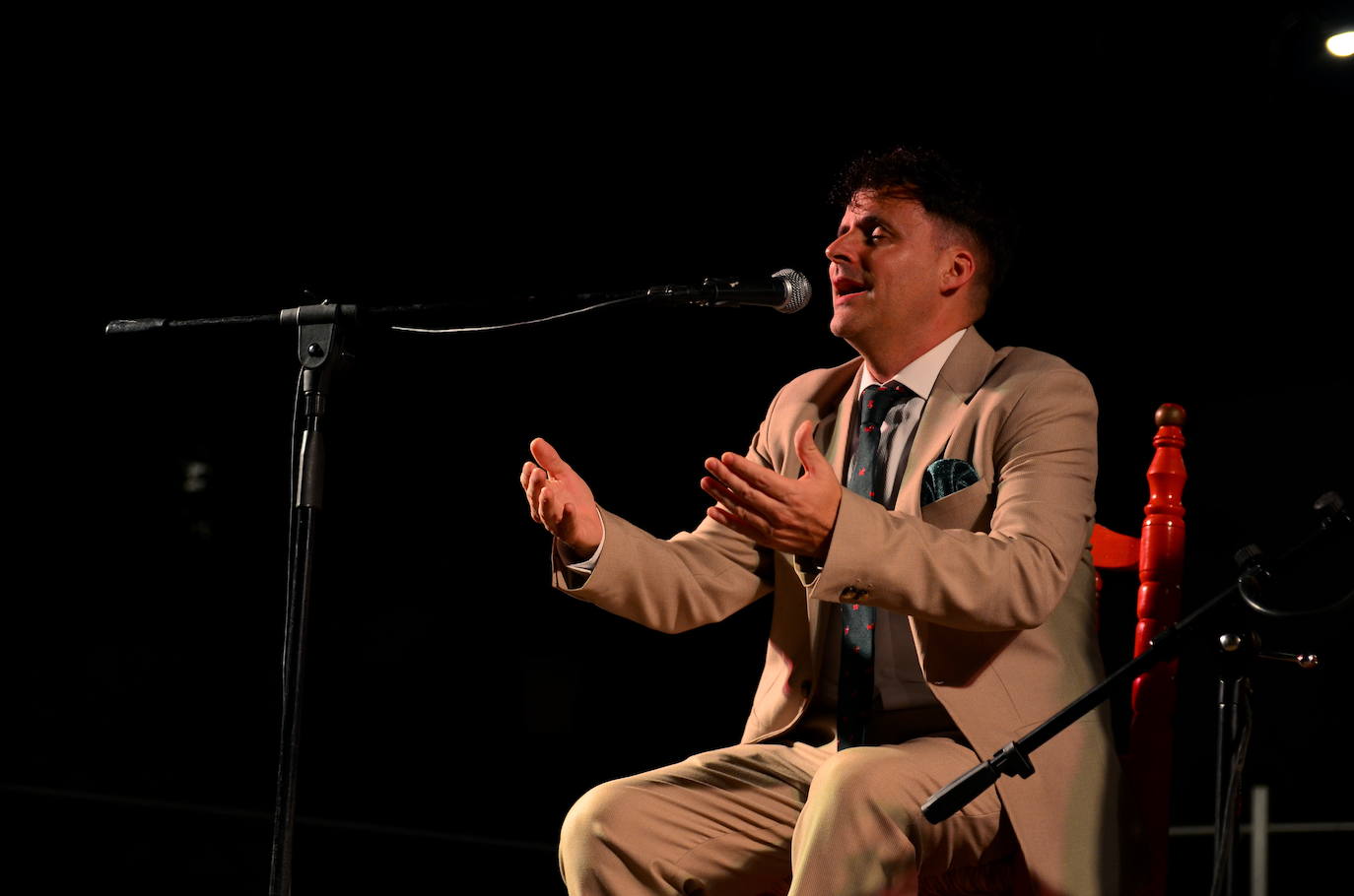 El flamenco brilla en su noche más especial en Huétor Vega
